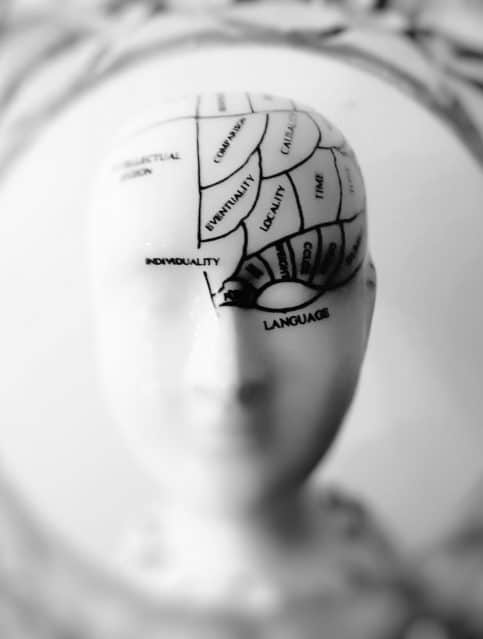 Psychology Guide 9 photo of head bust print artwork