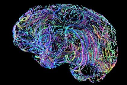 Concept Art of Neural Pathways in the Brain