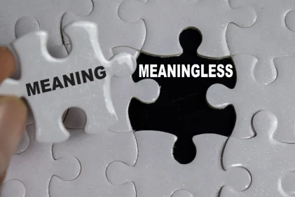 Meaning of Life